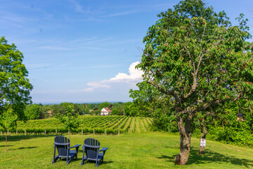 Vineyard Landscape and Adirondack Chairs niagara on the lake, winery © Koscik.photos