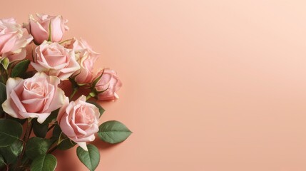 Soft blush roses on a pale pink background. Copy space. Space for text
