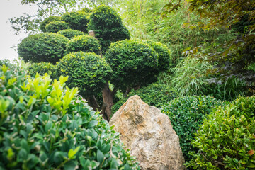 cut bushes into clouds Japanese garden
