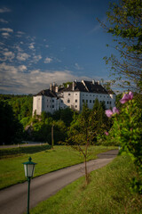 Fototapeta premium Leiben castle near Donau river valley in summer hot morning with blue sky