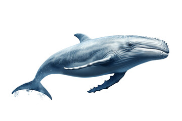 Great Shark isolated on transparent background, Generative AI