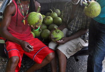 breadfruit jamaican