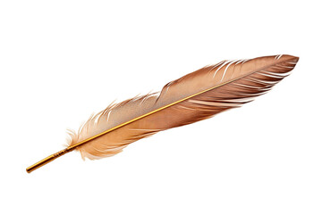 Brown wing feather isolated on transparent background, Generative AI