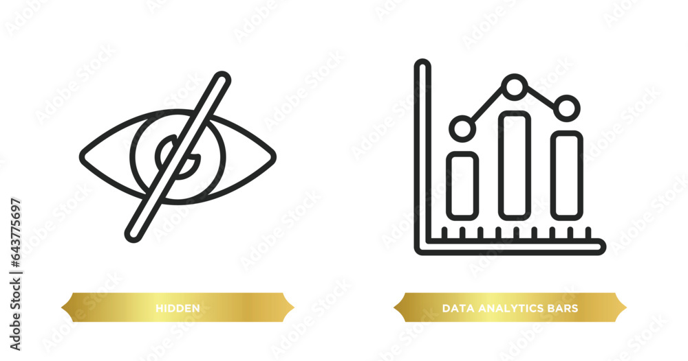 Poster two editable outline icons from user interface concept. thin line icons such as hidden, data analyti
