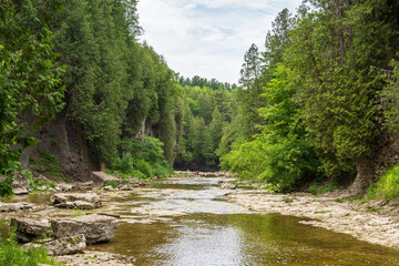 Nature near Elora Gorge Canada reserve