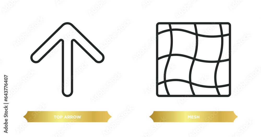 Poster two editable outline icons from user interface concept. thin line icons such as top arrow, mesh vect