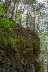 Nature near Elora Gorge Canada reserve