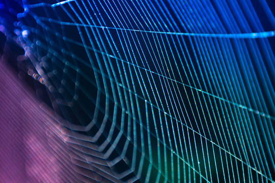Color flicker and aberration. Neon web, gradient of blue, cyan and purple. The web is woven by a spider. Dark abstract background. Selective focus or defocus