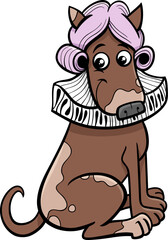 cartoon dog character in a wig and with a ruff collar