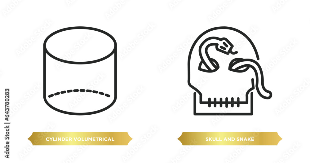 Poster two editable outline icons from shapes concept. thin line icons such as cylinder volumetrical, skull