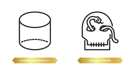 two editable outline icons from shapes concept. thin line icons such as cylinder volumetrical, skull and snake vector.