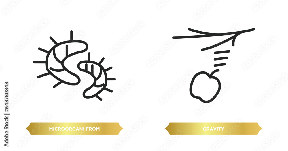 Poster two editable outline icons from science concept. thin line icons such as microorgani from science co