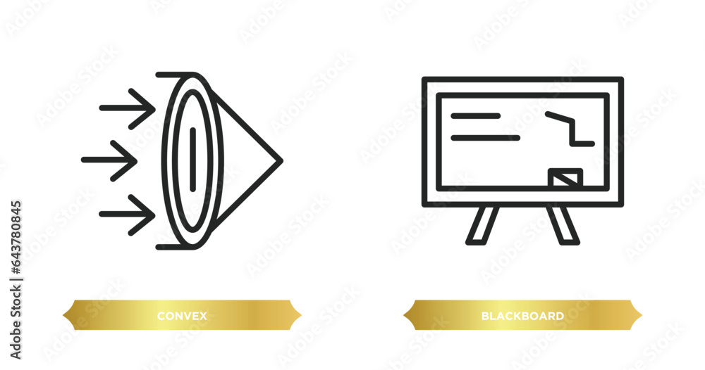 Poster two editable outline icons from science concept. thin line icons such as convex, blackboard vector.