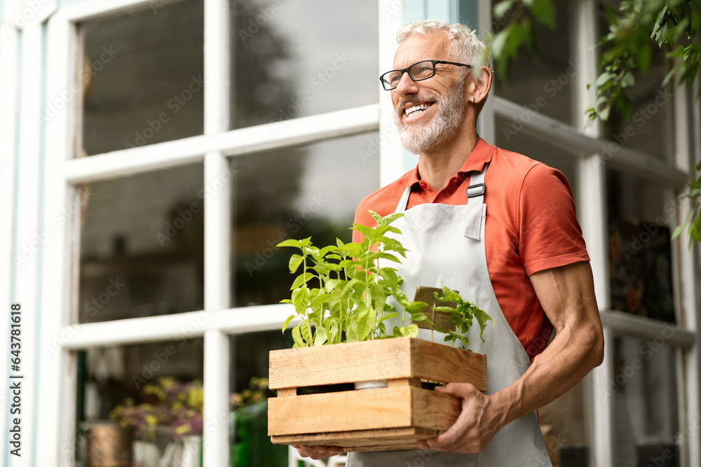 Wall mural handsome mature gardener man carrying crate with potted plants outdoors