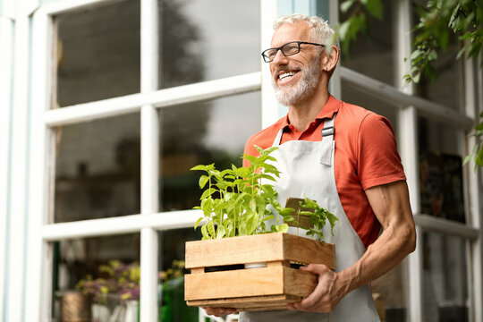 Handsome Mature Gardener Man Carrying Crate With Potted Plants Outdoors