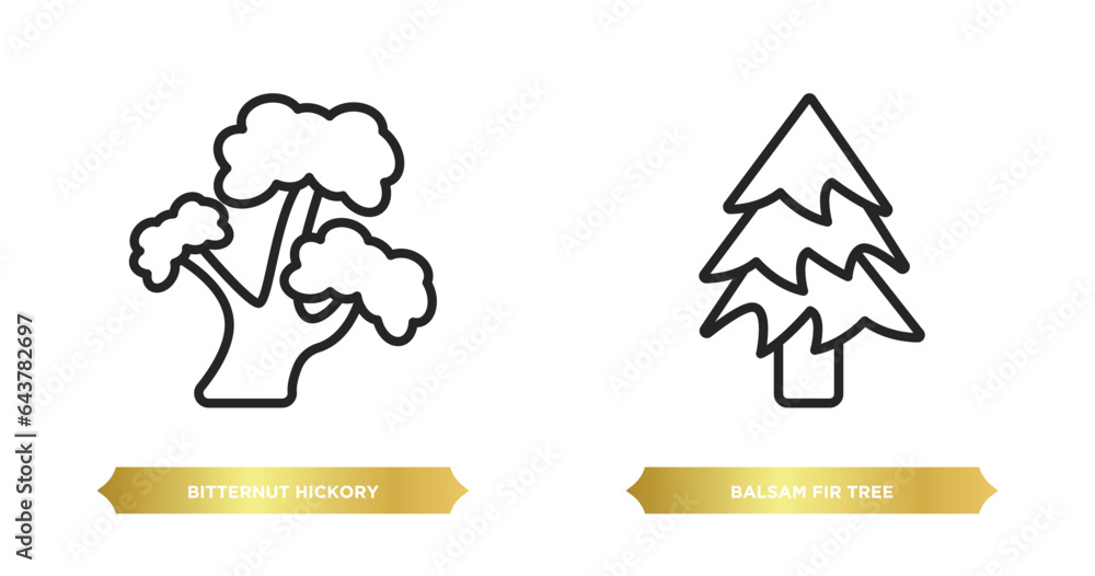Poster two editable outline icons from nature concept. thin line icons such as bitternut hickory tree, bals