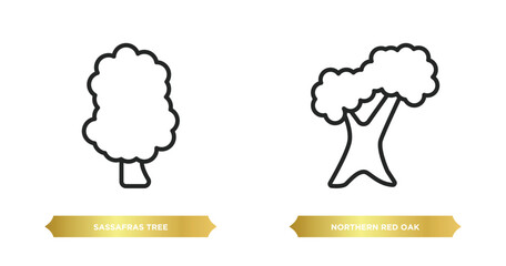 two editable outline icons from nature concept. thin line icons such as sassafras tree, northern red oak tree vector.