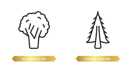 two editable outline icons from nature concept. thin line icons such as black walnut tree, american larch tree vector.