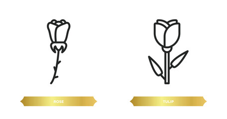 two editable outline icons from nature concept. thin line icons such as rose, tulip vector.
