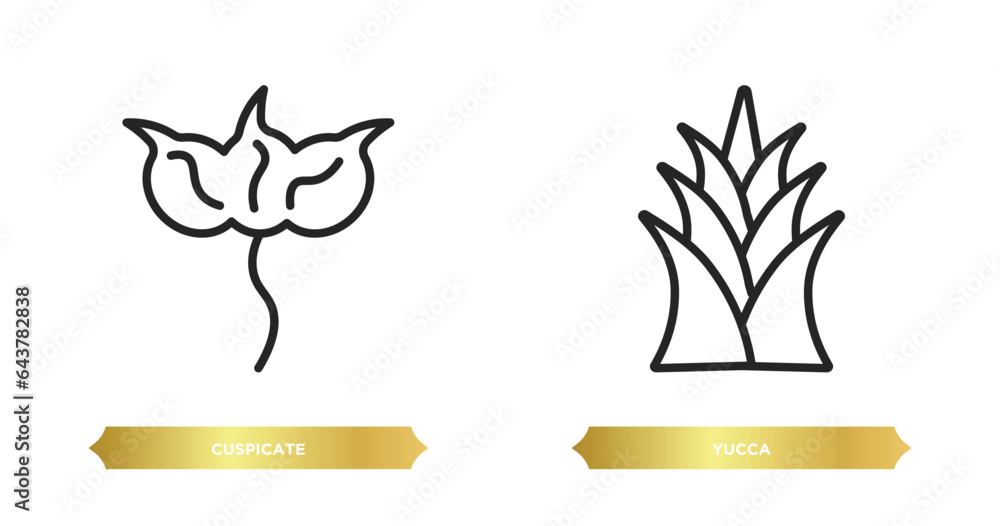 Aufkleber two editable outline icons from nature concept. thin line icons such as cuspicate, yucca vector.
