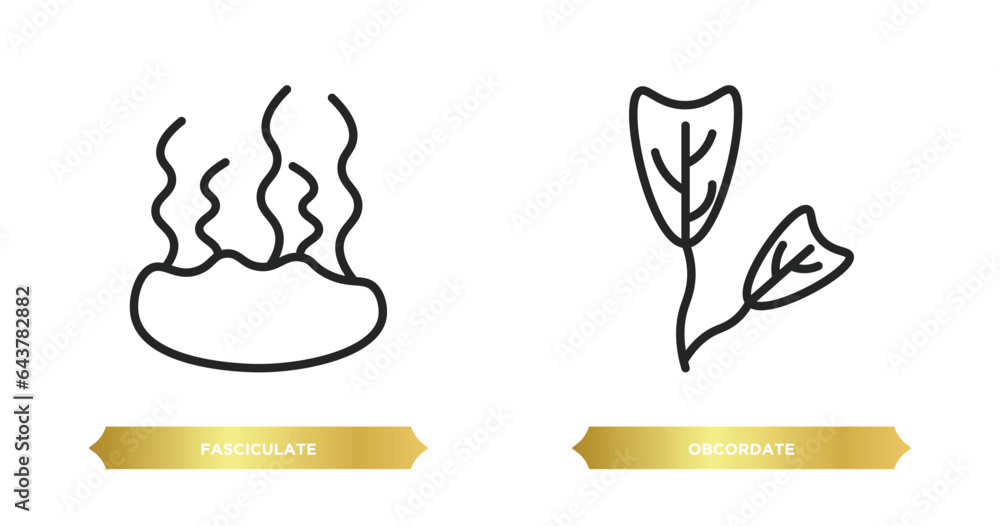 Aufkleber two editable outline icons from nature concept. thin line icons such as fasciculate, obcordate vecto