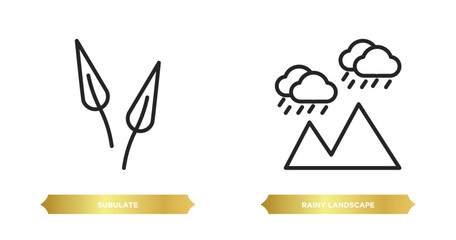 two editable outline icons from nature concept. thin line icons such as subulate, rainy landscape vector.