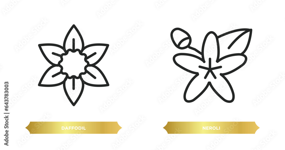 Poster two editable outline icons from nature concept. thin line icons such as daffodil, neroli vector.