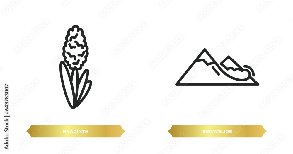 Poster two editable outline icons from nature concept. thin line icons such as hyacinth, snowslide vector.