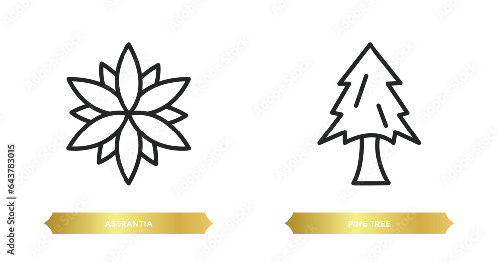 Poster two editable outline icons from nature concept. thin line icons such as astrantia, pine tree vector.