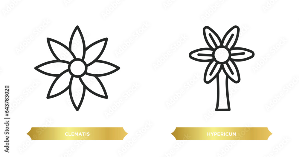 Poster two editable outline icons from nature concept. thin line icons such as clematis, hypericum vector.