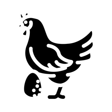 hen egg chicken farm food glyph icon vector. hen egg chicken farm food sign. isolated symbol illustration