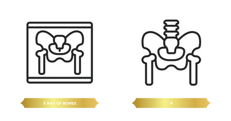 two editable outline icons from medical concept. thin line icons such as x ray of bones, p vector.