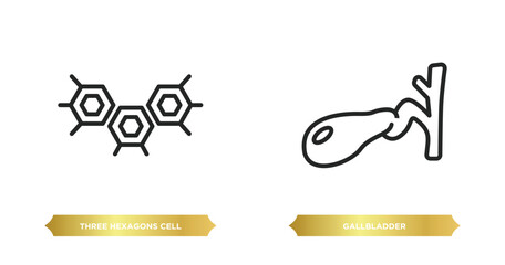 two editable outline icons from medical concept. thin line icons such as three hexagons cell, gallbladder vector.