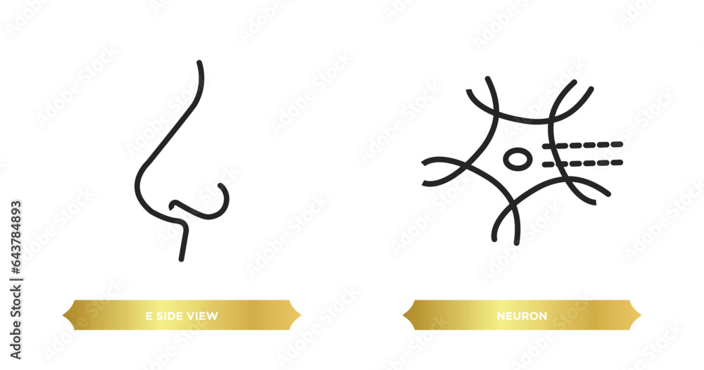 Poster two editable outline icons from human body parts concept. thin line icons such as e side view, neuro