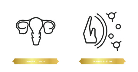 two editable outline icons from human body parts concept. thin line icons such as human uterus, immune system vector.