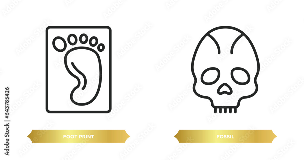Poster two editable outline icons from history concept. thin line icons such as foot print, fossil vector.
