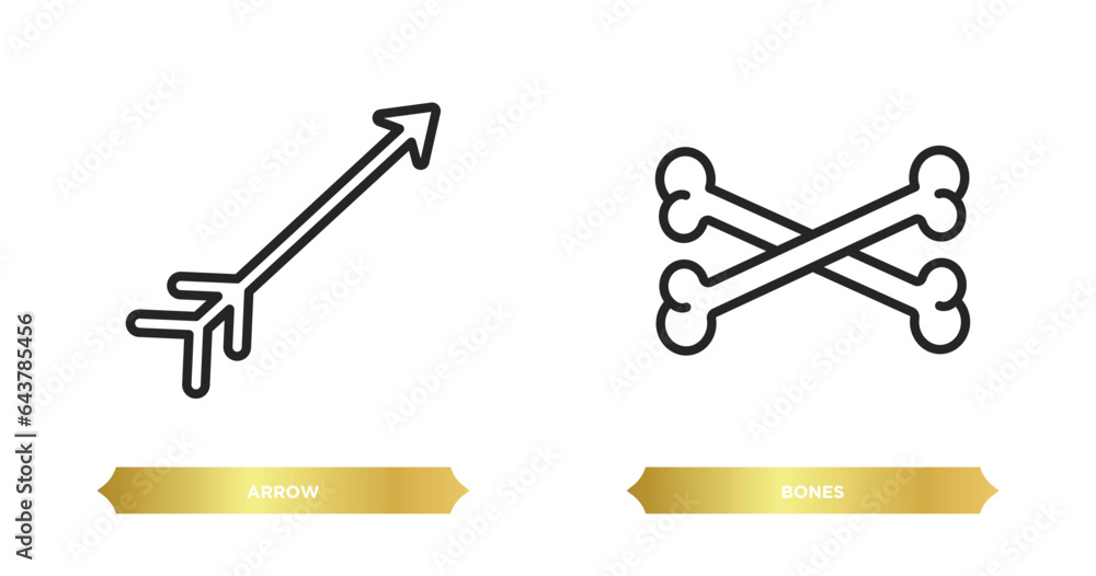 Poster two editable outline icons from history concept. thin line icons such as arrow, bones vector.