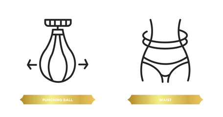 two editable outline icons from gym equipment concept. thin line icons such as punching ball, waist vector.