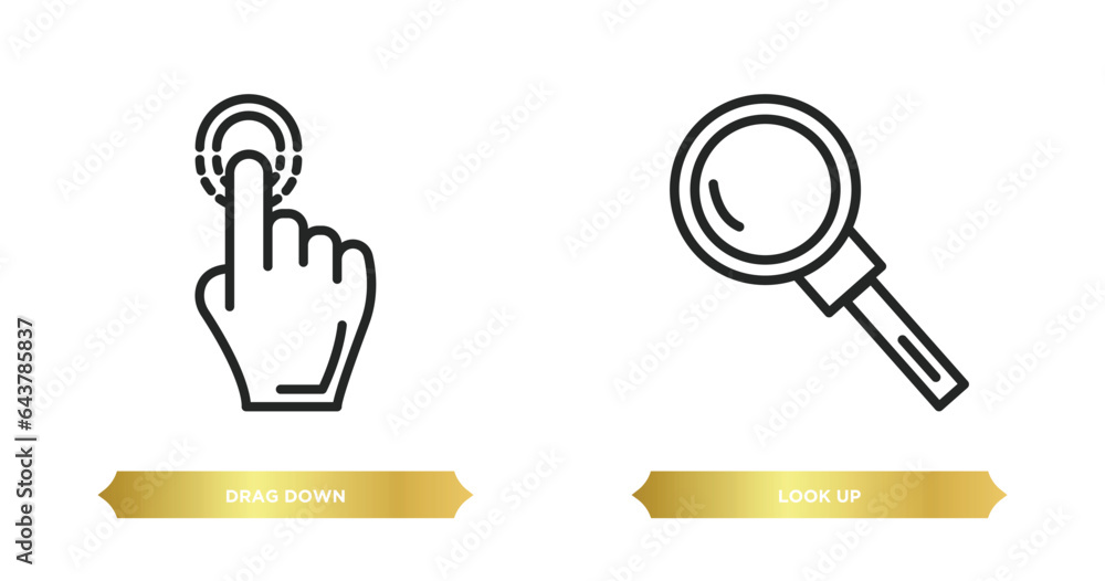 Poster two editable outline icons from gestures concept. thin line icons such as drag down, look up vector.