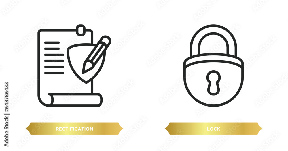 Poster two editable outline icons from gdpr concept. thin line icons such as rectification, lock vector.
