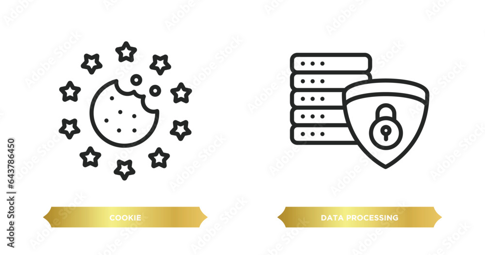 Poster two editable outline icons from gdpr concept. thin line icons such as cookie, data processing vector