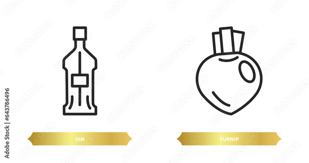 Poster two editable outline icons from gastronomy concept. thin line icons such as gin, turnip vector.