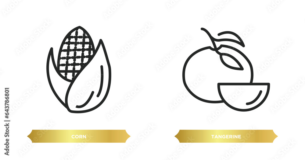 Poster two editable outline icons from fruits and vegetables concept. thin line icons such as corn, tangeri