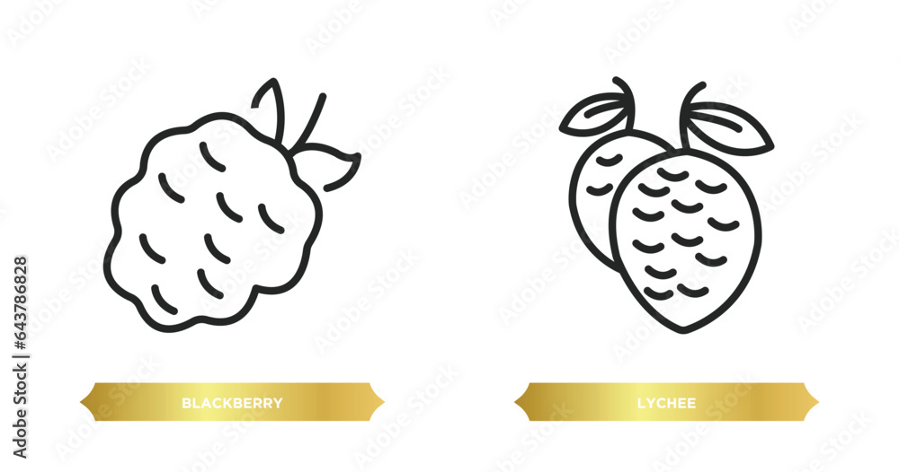 Poster two editable outline icons from fruits and vegetables concept. thin line icons such as blackberry, l