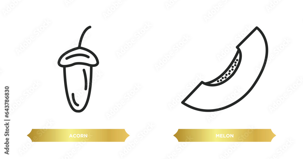 Poster two editable outline icons from fruits and vegetables concept. thin line icons such as acorn, melon 