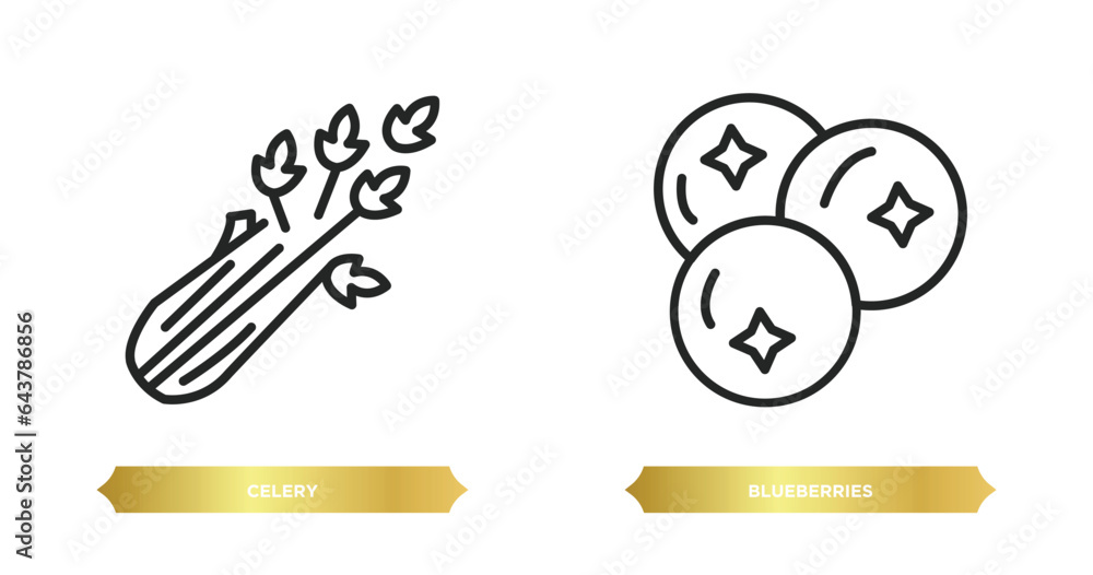 Poster two editable outline icons from fruits and vegetables concept. thin line icons such as celery, blueb