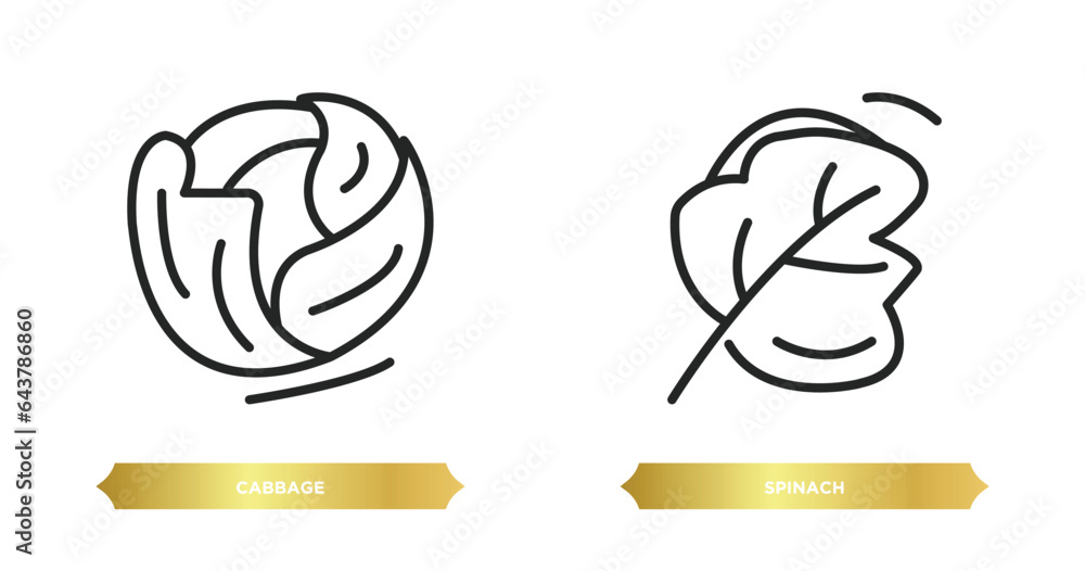 Poster two editable outline icons from fruits and vegetables concept. thin line icons such as cabbage, spin