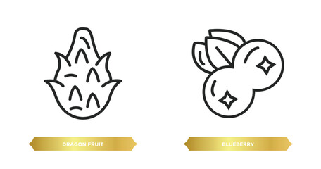 two editable outline icons from fruits and vegetables concept. thin line icons such as dragon fruit, blueberry vector.
