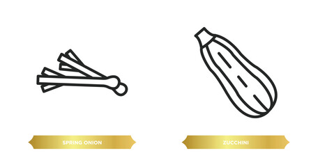two editable outline icons from fruits and vegetables concept. thin line icons such as spring onion, zucchini vector.