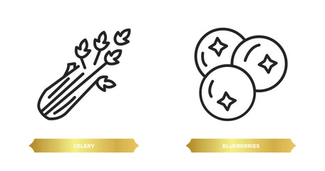 two editable outline icons from fruits and vegetables concept. thin line icons such as celery, blueberries vector.